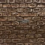 Scritto Tuğla Duvar • Macizo